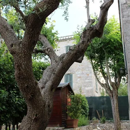 לינה וארוחת בוקר Domus Relax