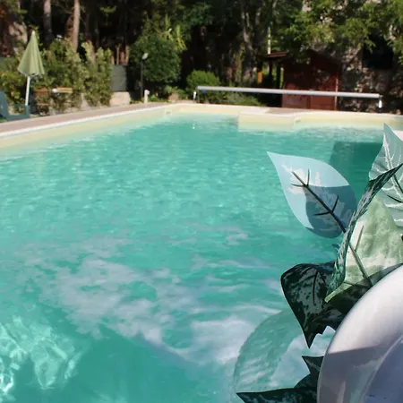 Bed and Breakfast Domus Relax Selva Di Fasano